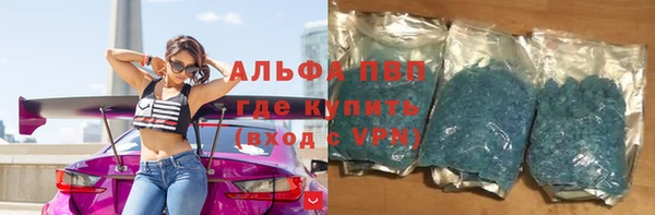 индика Богородск