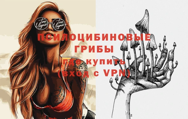 гашишное масло Богородицк