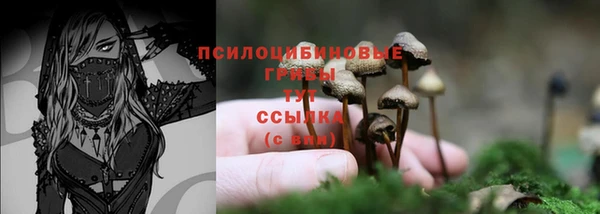 гашишное масло Богородицк