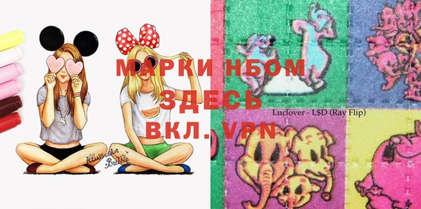 гидра Аркадак