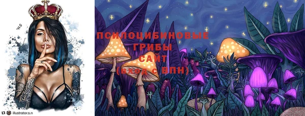 гидра Аркадак