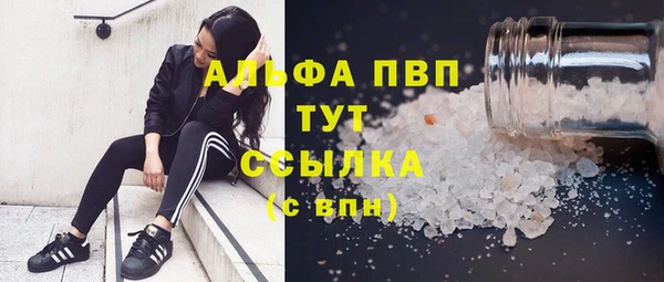 гидра Аркадак