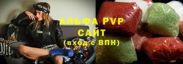индика Богородск