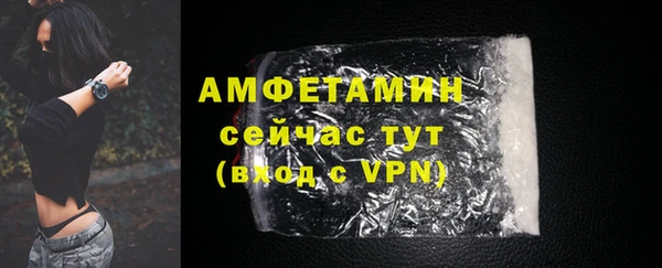 гидра Аркадак