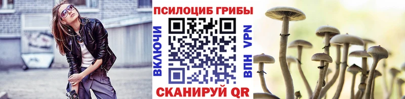 купить   kraken ONION  Галлюциногенные грибы Magic Shrooms  Валдай 